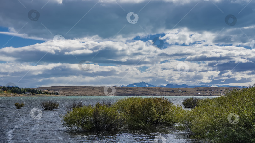 Скачать У берега озера растут зеленые кусты. фотосток Ozero