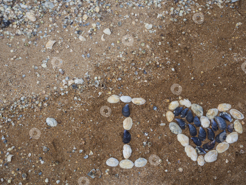 Скачать Я люблю тебя символом в форме сердца, написанным на песке морскими ракушками фотосток Ozero
