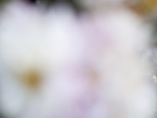[object Object] undefined