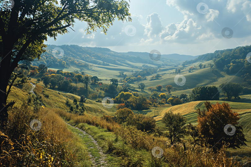 Скачать красивый сельский пейзаж с лугами и перелесками фотосток Ozero