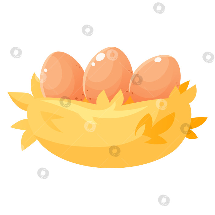 Скачать Три яйца в гнезде из соломы. Мультяшное гнездо с яйцами на белом фоне. Ферма, сельское хозяйство. Куриные яйца. Шаблон для оформления на пасхальную тематику, на тему фермерства. фотосток Ozero