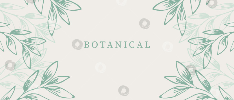 Скачать Ботанический абстрактный фон с растениями. Цветочный фон нежно-зеленого цвета. фотосток Ozero