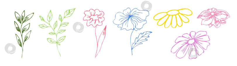 Скачать Цветочные элементы, нарисованные от руки. Рисунки растений. Элементы для оформления открыток. фотосток Ozero