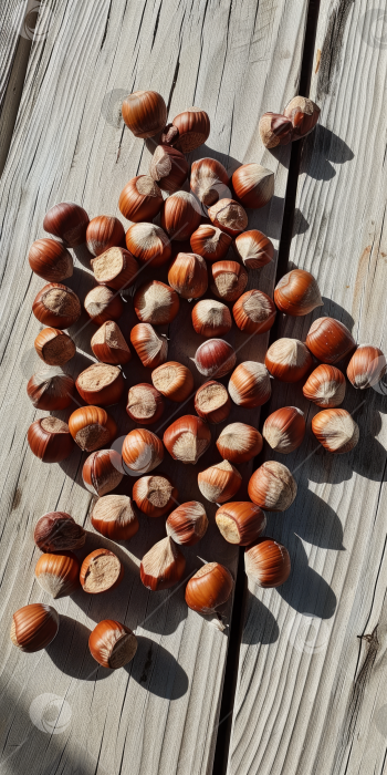 Скачать Рассыпанные лесные орехи на деревянной доске, полезная сырая закуска, органический орех, натуральный фон. фотосток Ozero