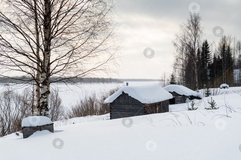 Скачать Деревня на берегу реки Пинега фотосток Ozero