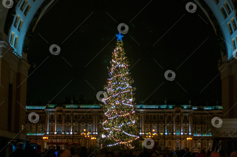 Скачать Новогодняя елка на дворцовой площади в Санкт Петербурге фотосток Ozero