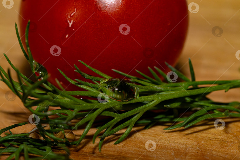 Скачать Укроп с каплей на фоне помидора. Макро. фотосток Ozero