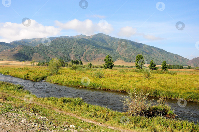 Скачать Низкие кусты на берегу небольшой прямой речки, протекающей по долине, окруженной высокими горами, в солнечный летний день. фотосток Ozero