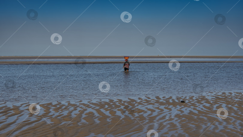 Скачать Отлив. Лужи воды на открытом волнистом песчаном морском дне. фотосток Ozero