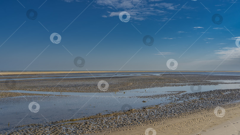 Скачать Отлив. На обнажившемся волнистом песчаном морском дне образовались лужи и ручейки воды. фотосток Ozero