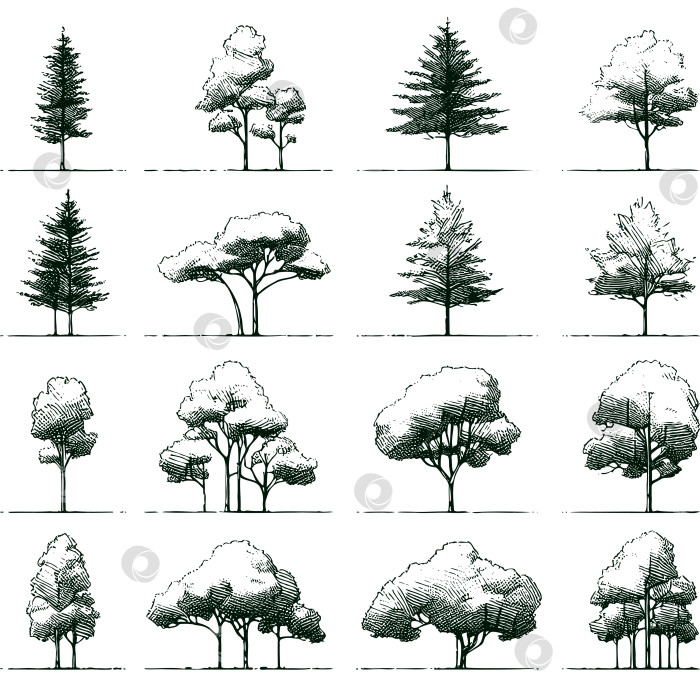 Скачать Набор нарисованных от руки эскизов деревьев. Векторная иллюстрация фотосток Ozero