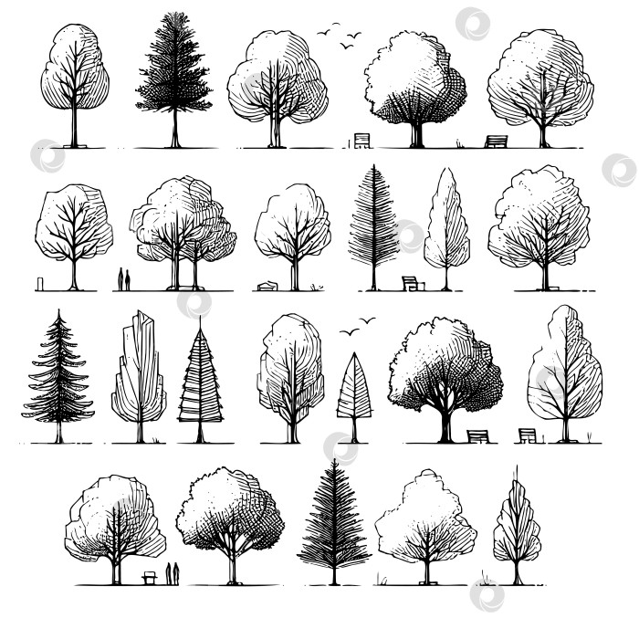Скачать Линейная векторная иллюстрация грубый нарисованный от руки эскиз дерева идеально подходит для архитектурных фотосток Ozero