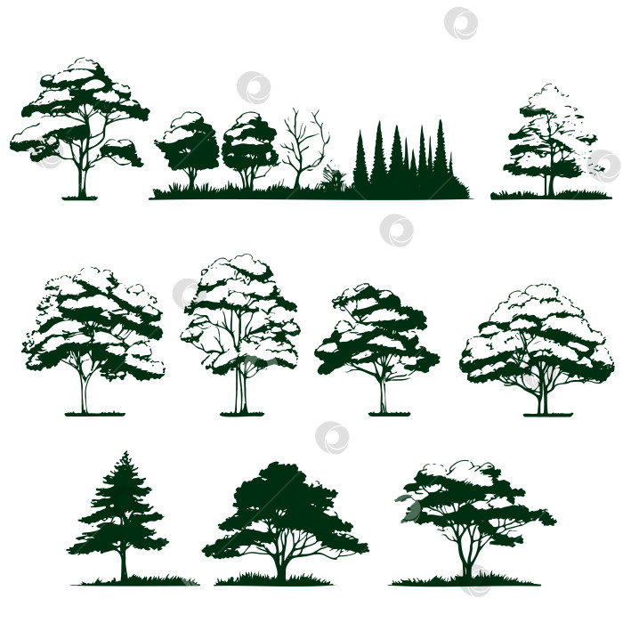 Скачать Набор нарисованных от руки эскизов деревьев. Векторная иллюстрация фотосток Ozero