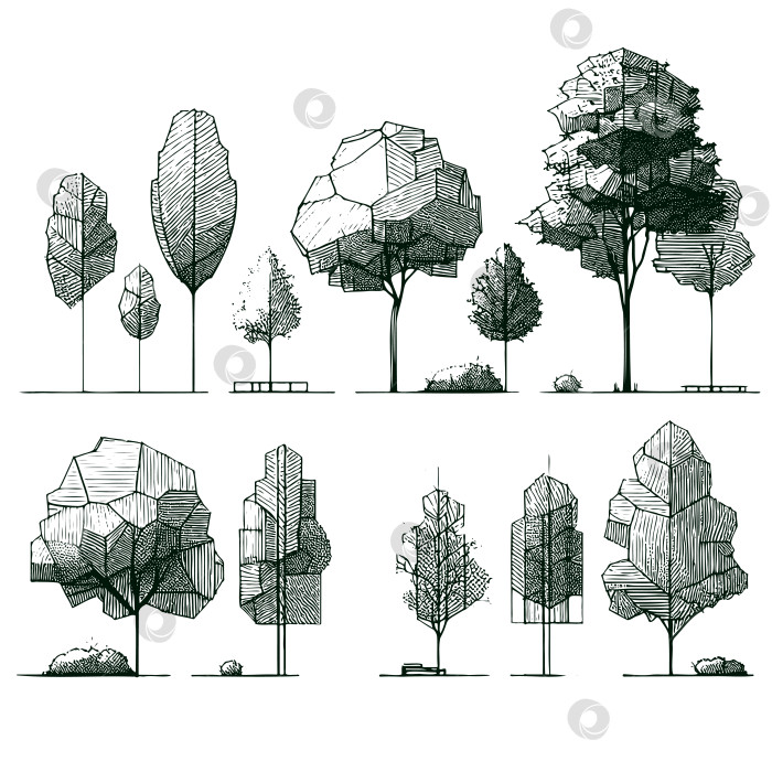 Скачать Линейная векторная иллюстрация грубый нарисованный от руки эскиз дерева идеально подходит для архитектурных фотосток Ozero