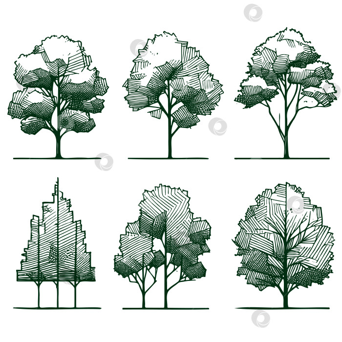 Скачать Набор нарисованных от руки эскизов дерева архитектора. Идеально подходит для архитектурной иллюстрации фотосток Ozero