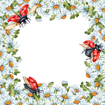 [object Object] undefined