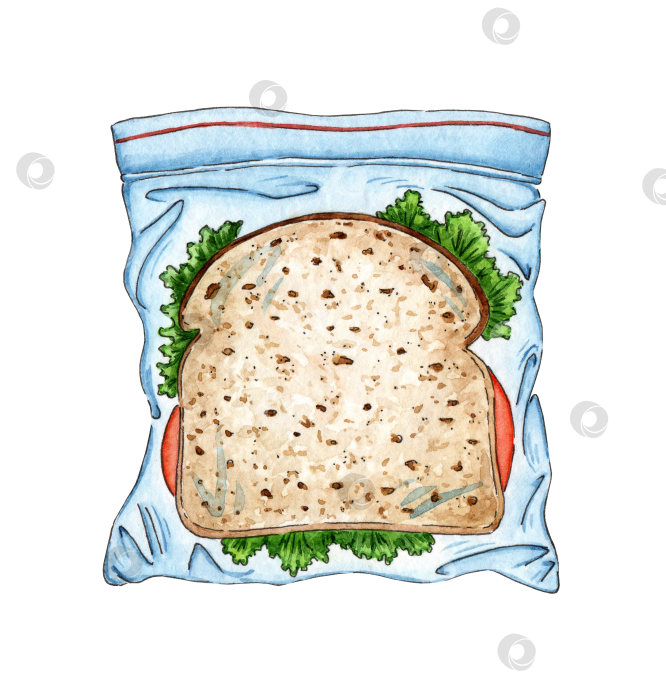 Скачать Бутерброд в упаковке акварелью фотосток Ozero