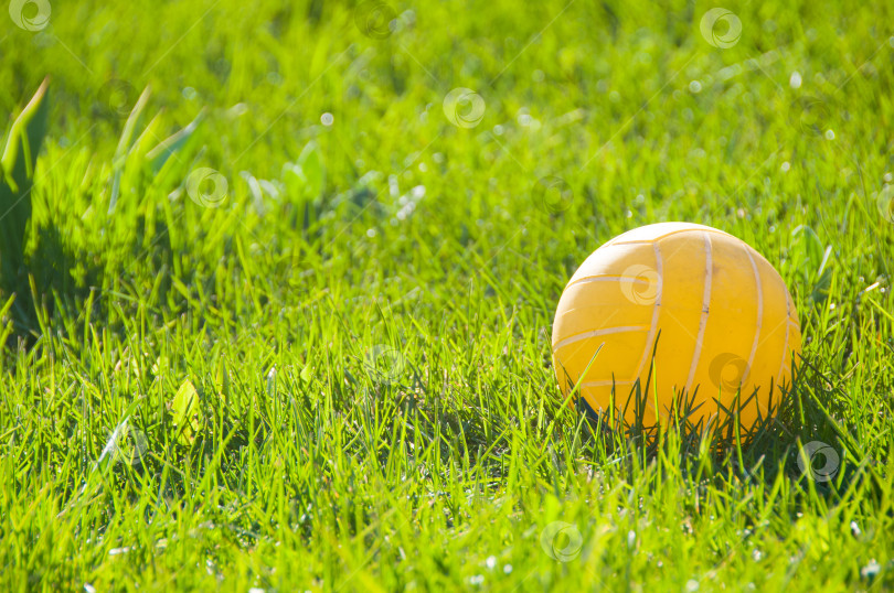 Скачать Детский футбольный мяч на зеленой траве фотосток Ozero
