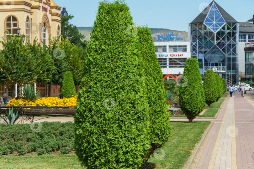 Скачать Курортный бульвар - центральная пешеходная улица города-курорта Кисловодск. Это город-курорт в регионе Кавказских Минеральных вод, Ставропольский край. Кисловодск, Россия - 19 августа 2023 года. фотосток Ozero