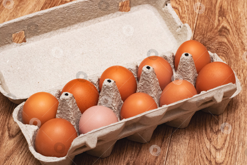 Скачать Куриные яйца в картонной коробке крупным планом фотосток Ozero