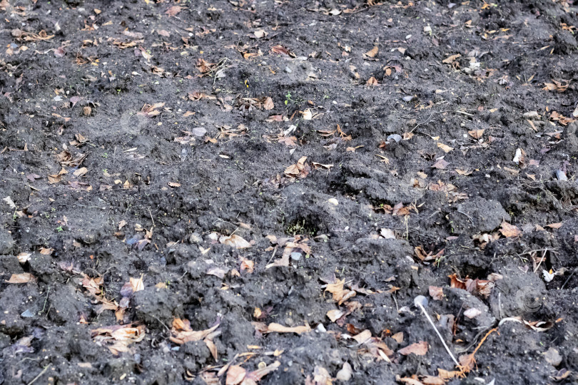 Скачать Мокрая грязь на дорожке с желтыми листьями фотосток Ozero