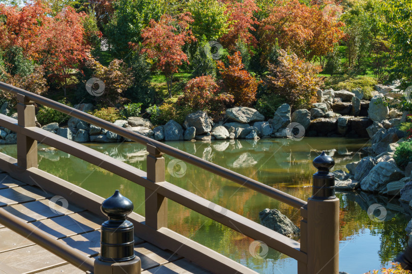 Скачать Фрагмент живописного деревянного пешеходного моста через большое озеро Ойке в японском саду фотосток Ozero