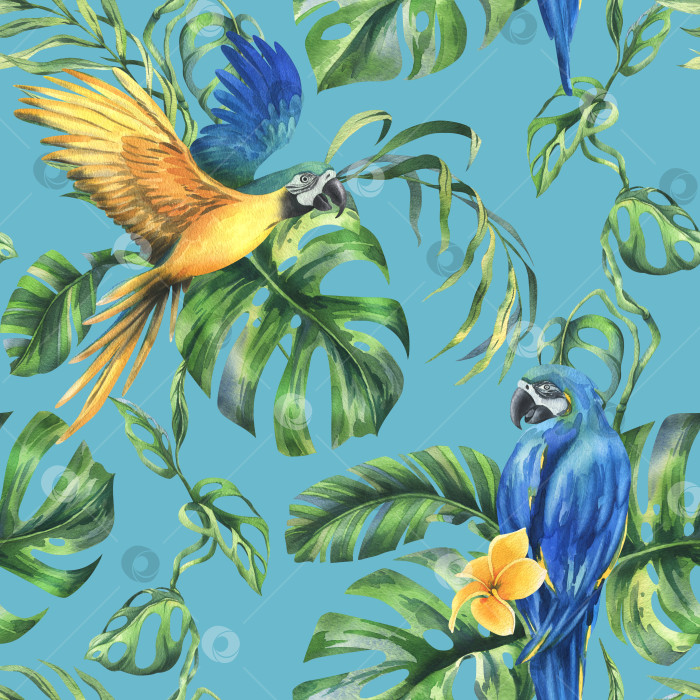 Скачать Листья тропической пальмы, монстеры и цветы плюмерии, гибискуса, яркие сочные с сине-желтым попугаем ара. Ботаническая иллюстрация, нарисованная акварелью от руки. Бесшовный узор на синем фоне. фотосток Ozero
