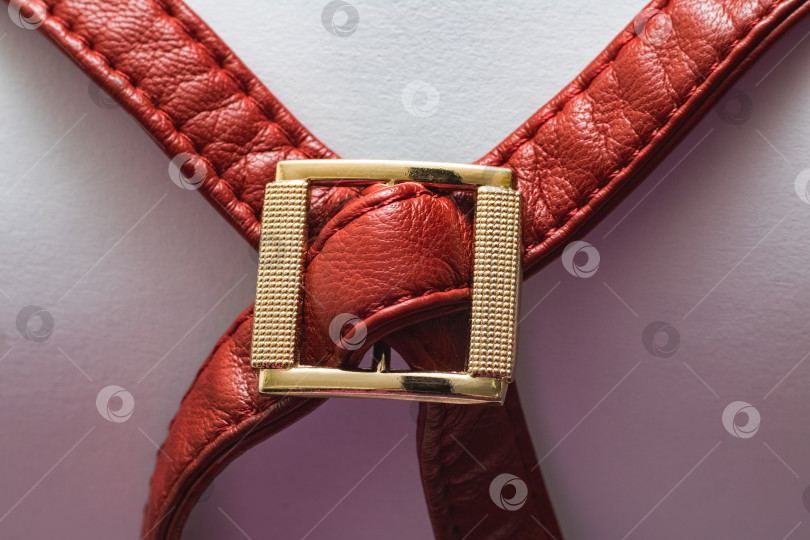 Скачать Золотая застежка с красным ремешком от одежды фотосток Ozero