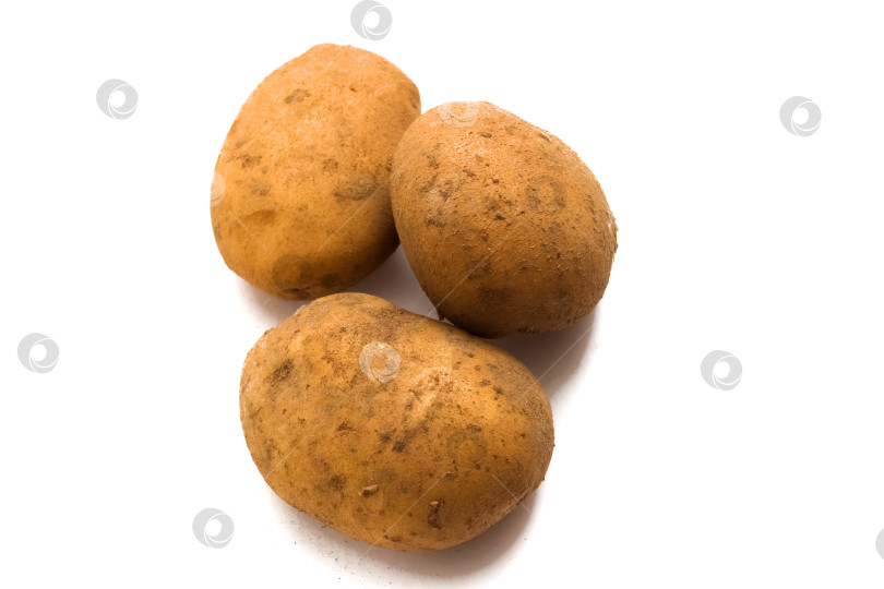 Скачать Три сырых свежих картофелины, выделенные на белом фоне фотосток Ozero