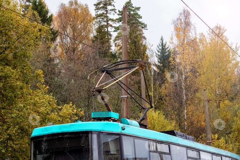 Скачать Провода для трамвайного движения на фоне неба и деревьев фотосток Ozero