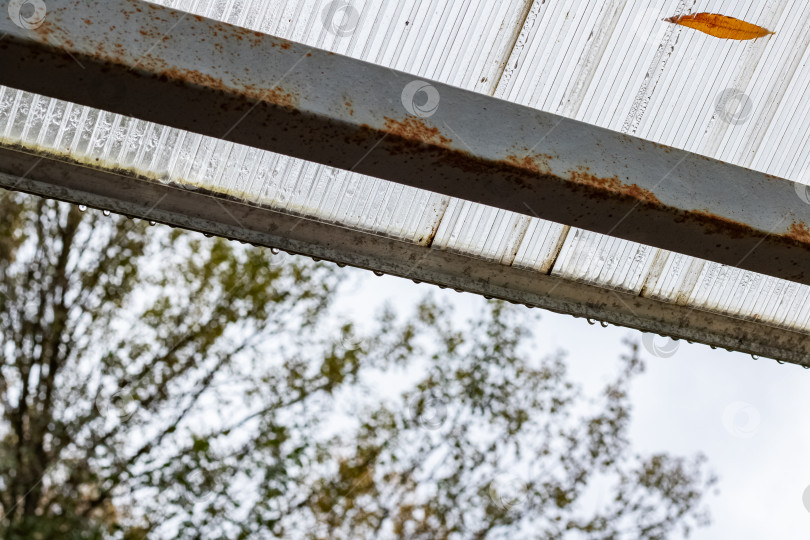 Скачать Прозрачная пластиковая крыша беседки с каплями дождя фотосток Ozero