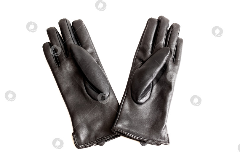 Скачать Черные кожаные перчатки, выделенные на белом фоне фотосток Ozero