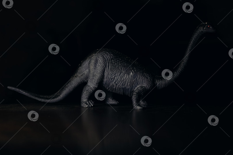 Скачать Черный маленький динозавр в темноте, несуществующее животное фотосток Ozero