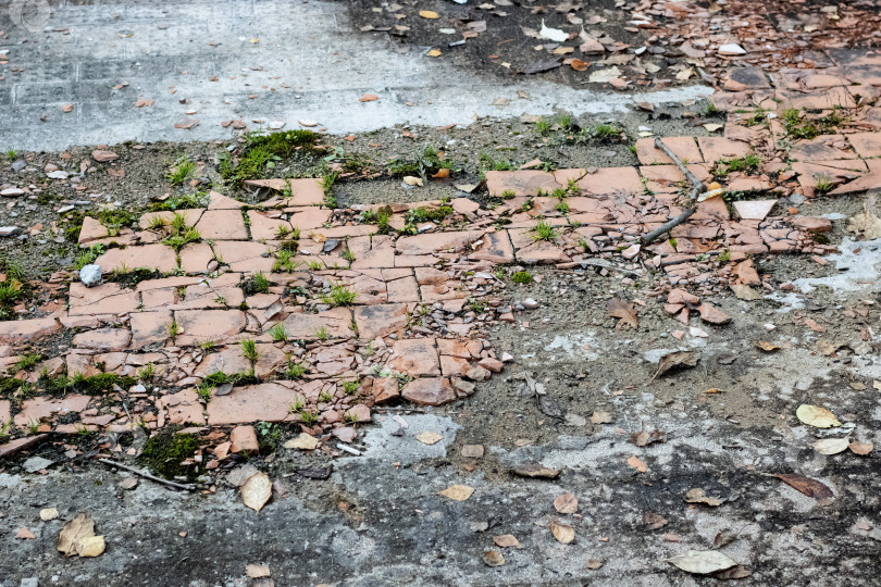 Скачать Старая разбитая плитка на тротуаре, задний план фотосток Ozero