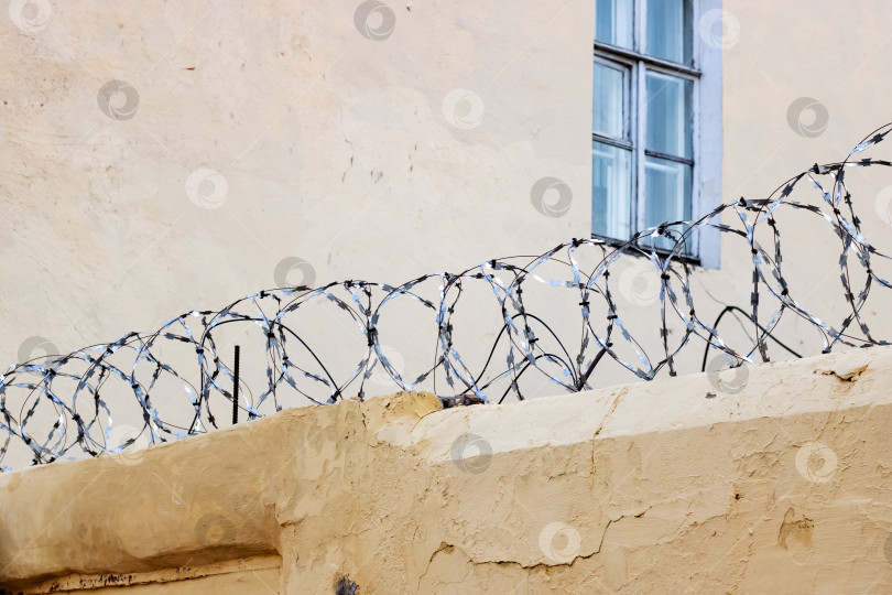 Скачать Колючая сетка на бетонном заборе тюрьмы фотосток Ozero