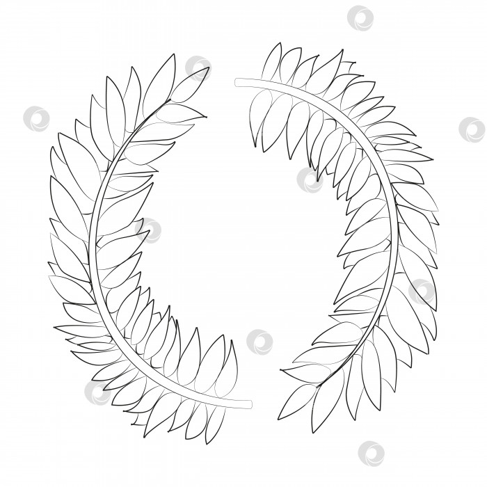 Скачать Векторный контур изолированной иллюстрации венка из веток с листьями. фотосток Ozero