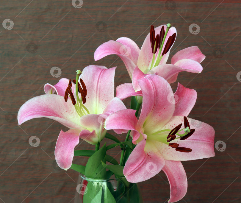 Скачать цветы и бутоны розовой лилии в стеклянной вазе фотосток Ozero