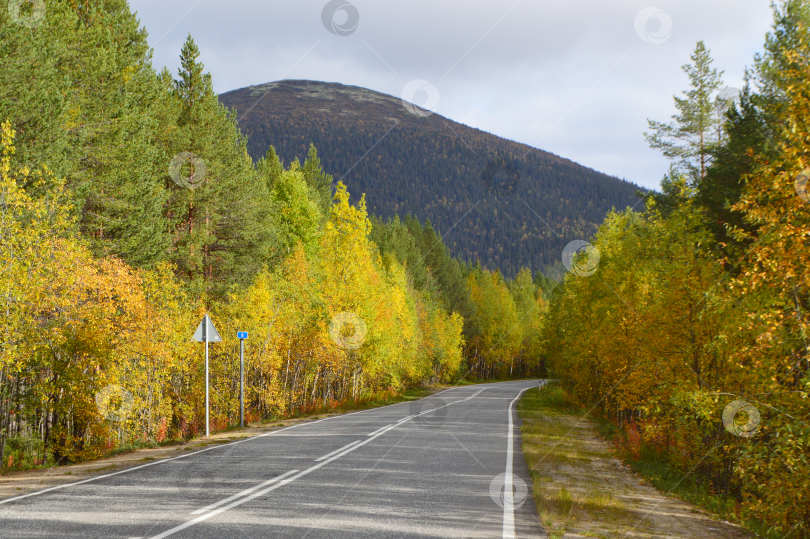 Скачать Дорога в осеннем лесу. фотосток Ozero