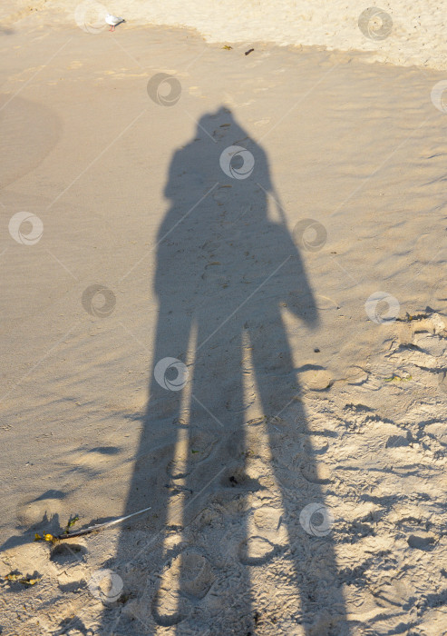 Скачать Две тени человеческих фигур на песчаном пляже фотосток Ozero