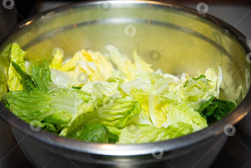 Скачать Свежий салат Ромэн в миске из нержавеющей стали фотосток Ozero