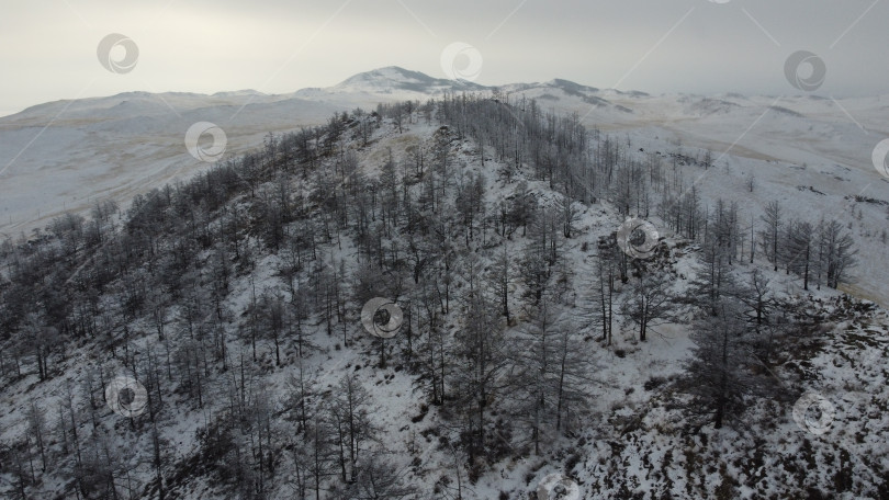 Скачать Лесистый холм с высоты птичьего полета фотосток Ozero