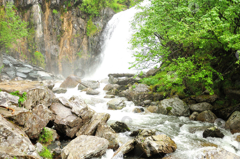 Скачать Бурный поток большого водопада, текущий, как река, с высокой горы через летний лес. фотосток Ozero