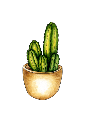 [object Object] undefined