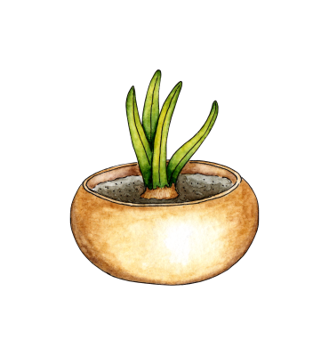 [object Object] undefined