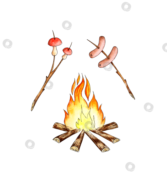 Скачать Сосиски и грибы, обжаренные на костре акварелью фотосток Ozero