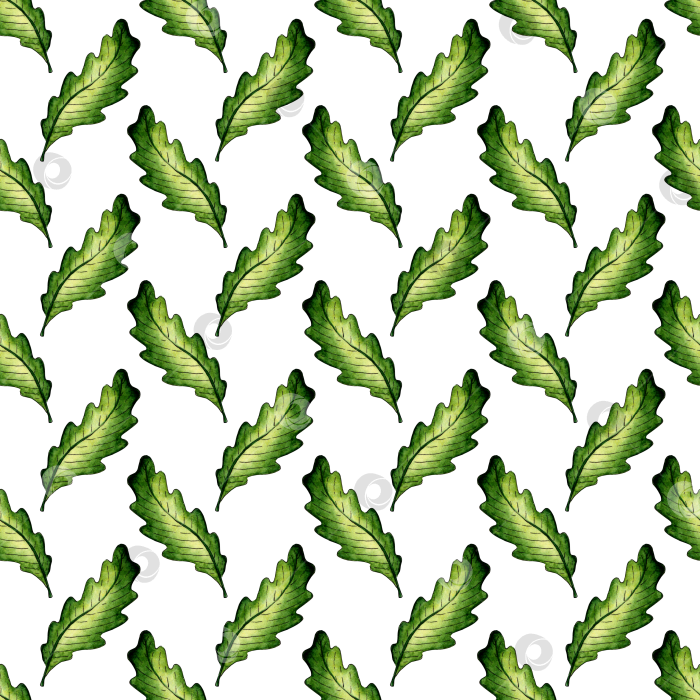 Скачать Узор зеленый дубовый лист акварелью фотосток Ozero