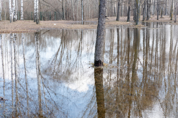 [object Object] undefined