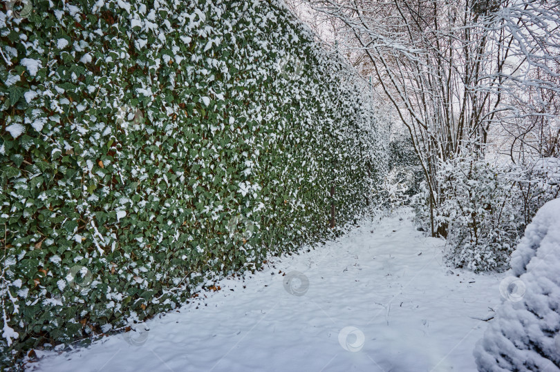Скачать Зимний пейзаж в саду после сильного снегопада. фотосток Ozero