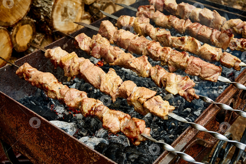 Скачать Приготовление мяса, нанизанного на шампуры в мангале, в тлеющем жаре улья. фотосток Ozero