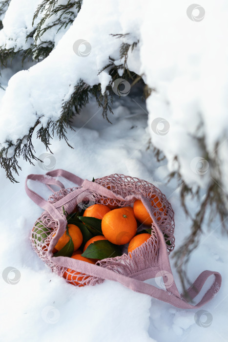 Скачать Сетчатый пакет с мандаринами на снегу под рождественской елкой фотосток Ozero